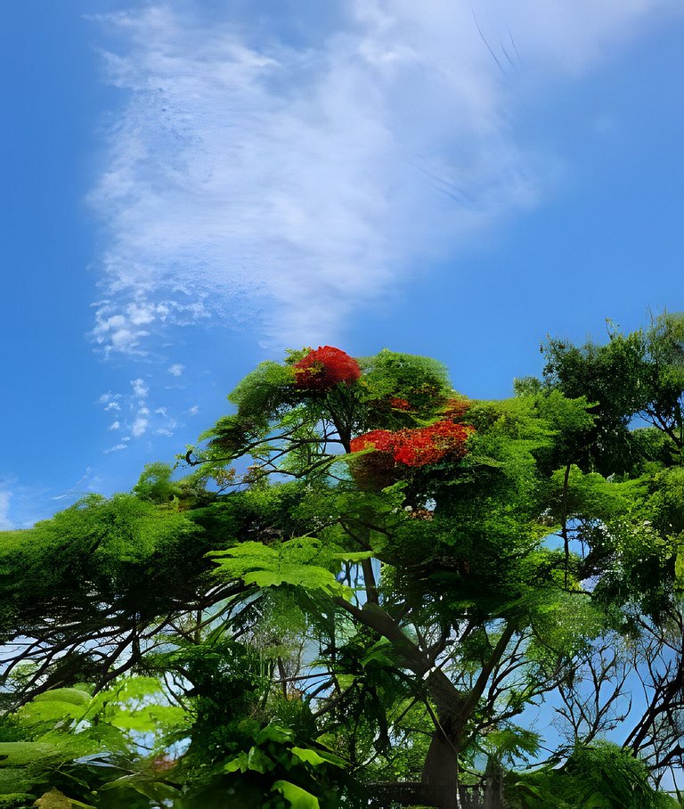 Respire Liberdade - Praia dos ingleses